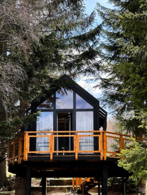 Kuća na drvetu - Zlatar Hill - Treehouse